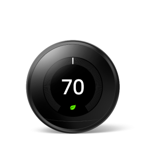 Nest